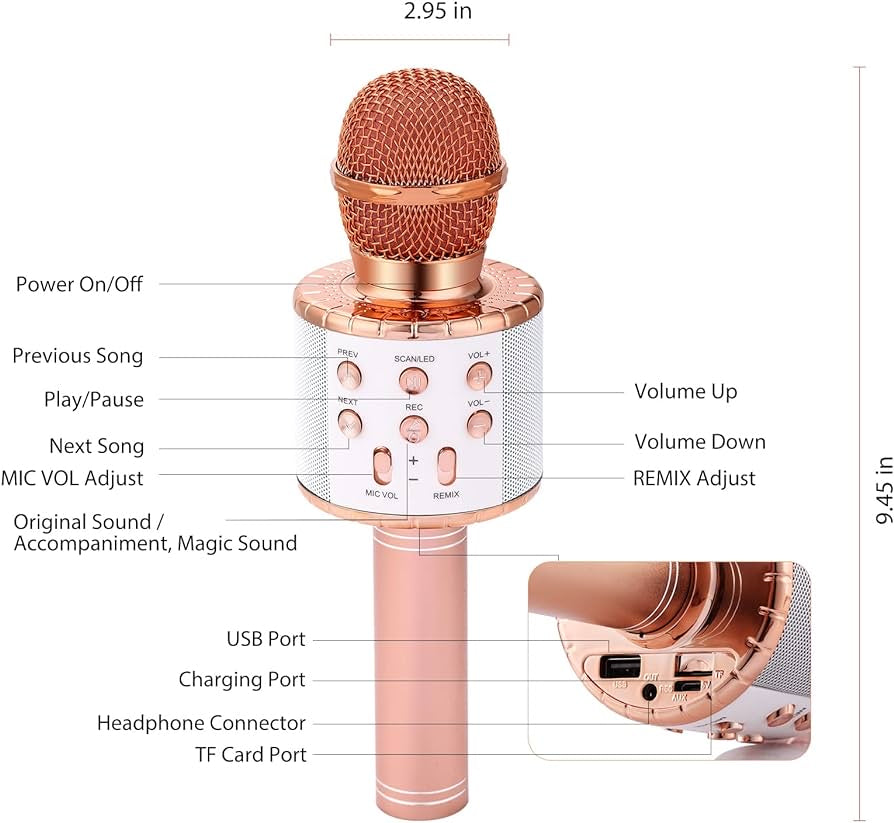 Wireless microphone hifi speaker