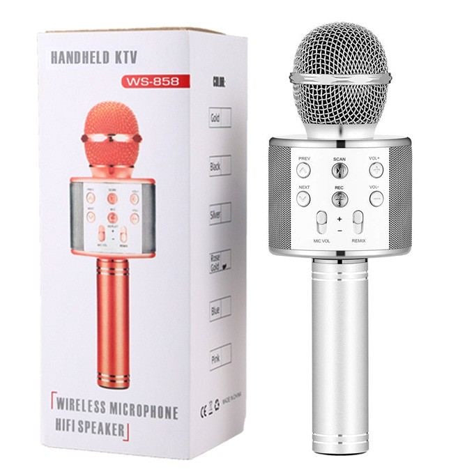 Wireless microphone hifi speaker