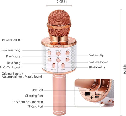 Wireless microphone  hifi speaker